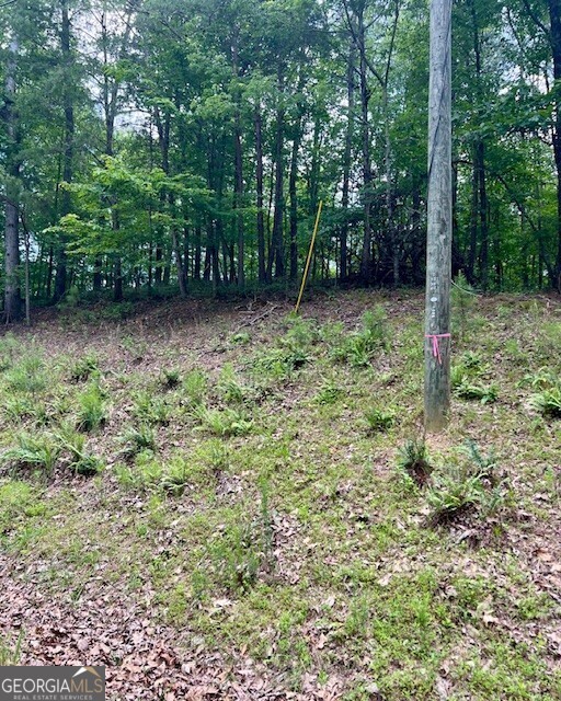 133 Adair Drive NE Ranger GA 30734