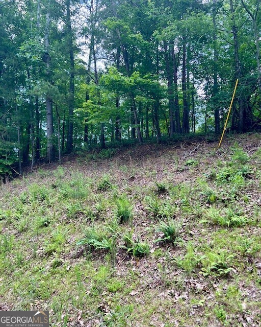133 Adair Drive NE Ranger GA 30734