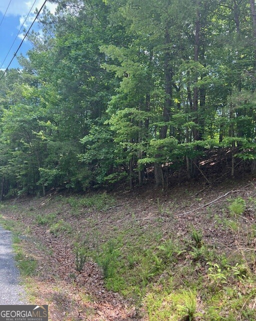 133 Adair Drive NE Ranger GA 30734