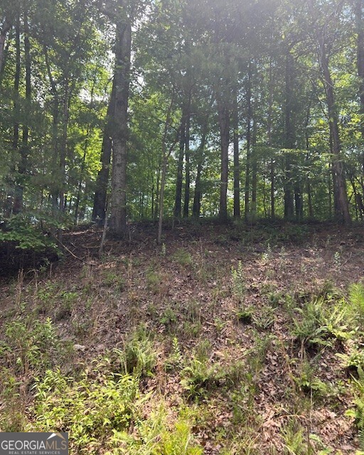 133 Adair Drive NE Ranger GA 30734