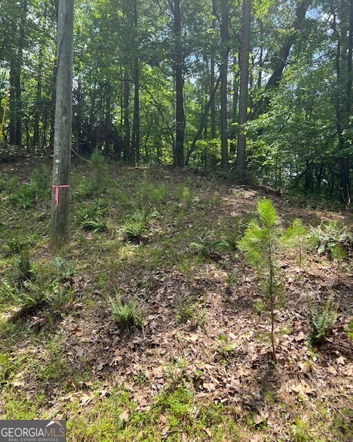 133 Adair Drive NE Ranger GA 30734