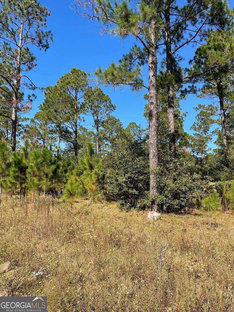 0 Highway 292 Vidalia GA 30474