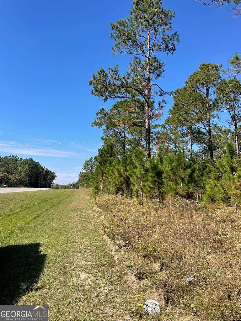 0 Highway 292 Vidalia GA 30474