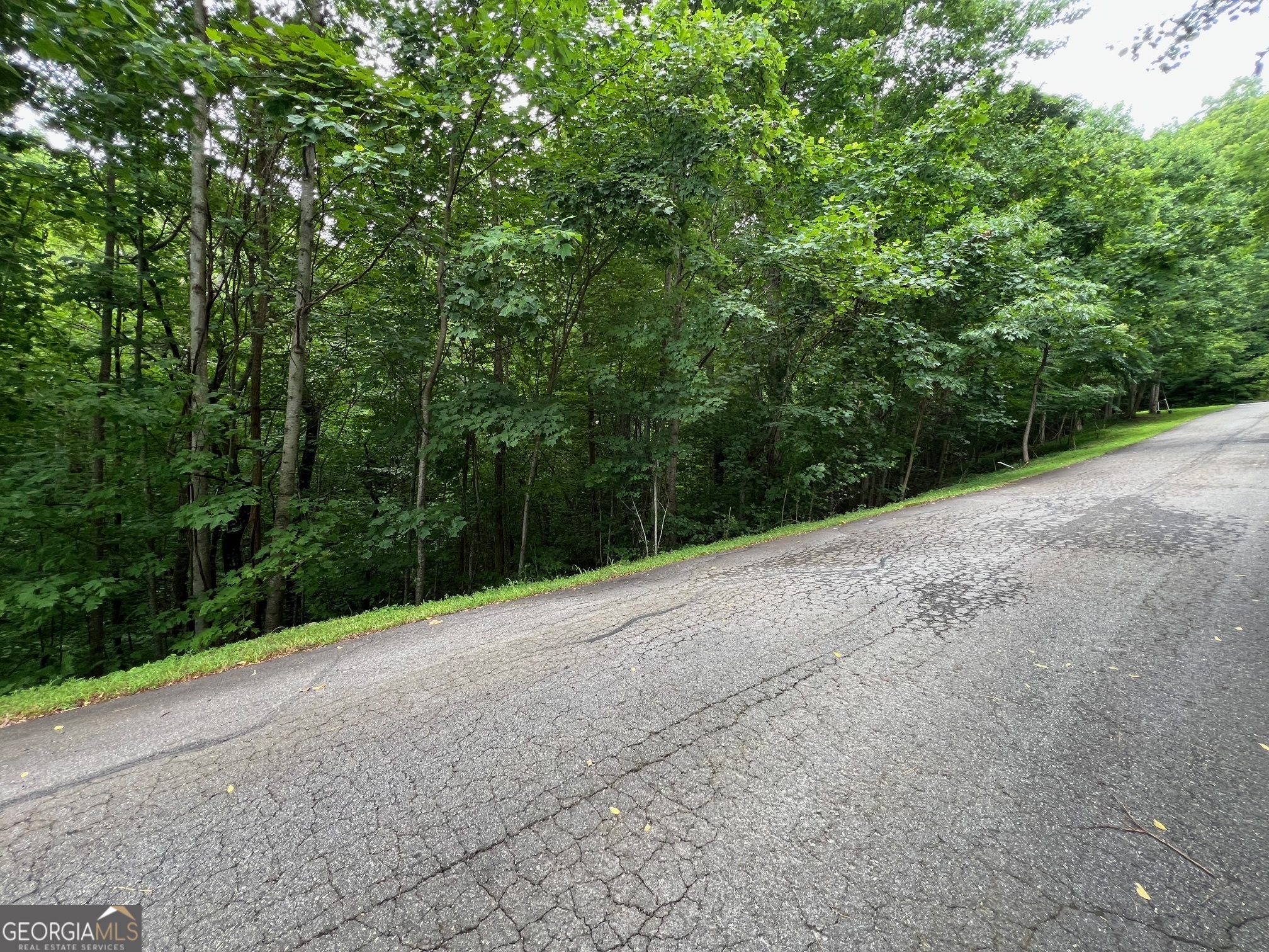 0 Overlook Drive Young Harris GA 30582