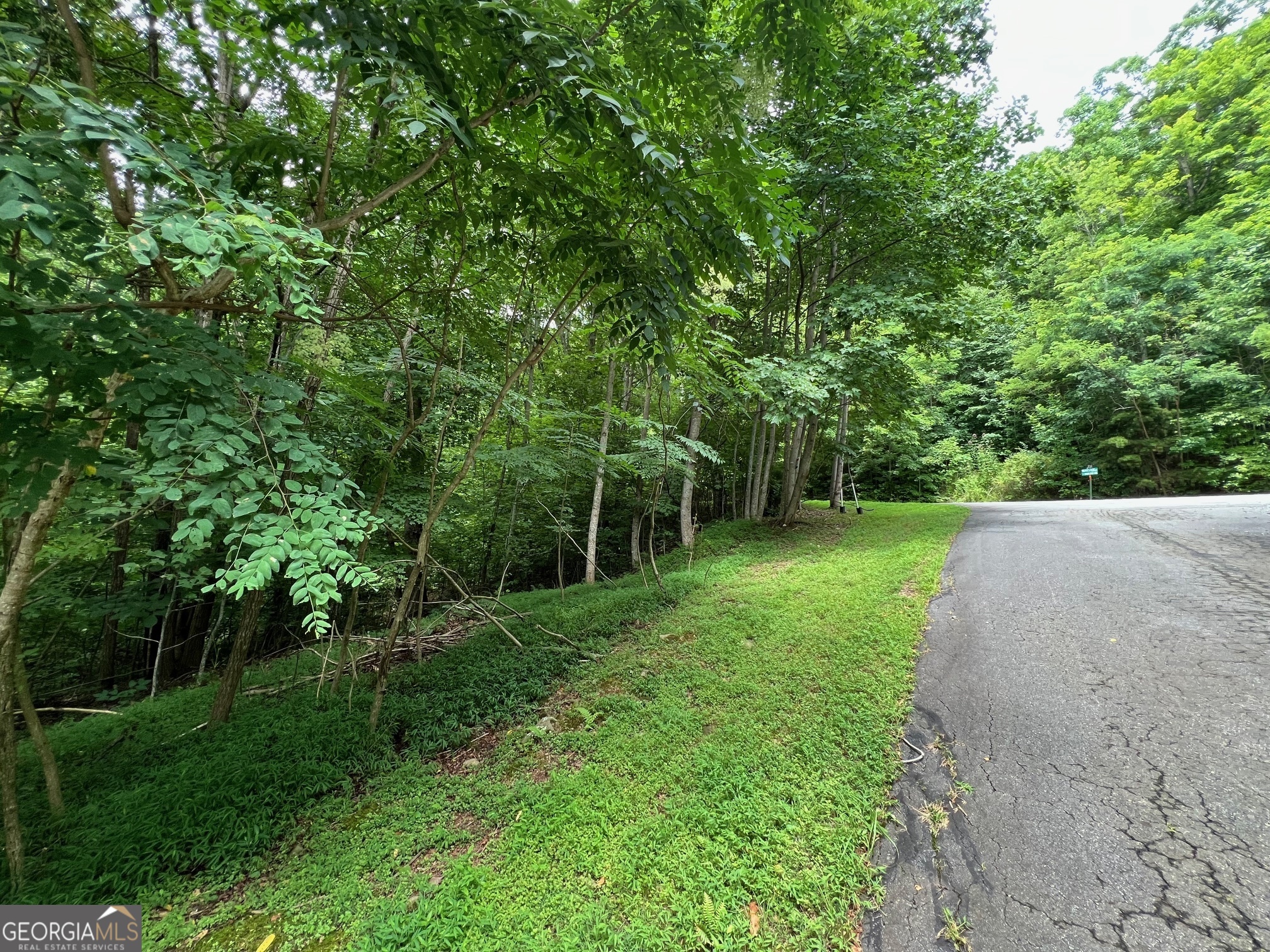 0 Overlook Drive Young Harris GA 30582