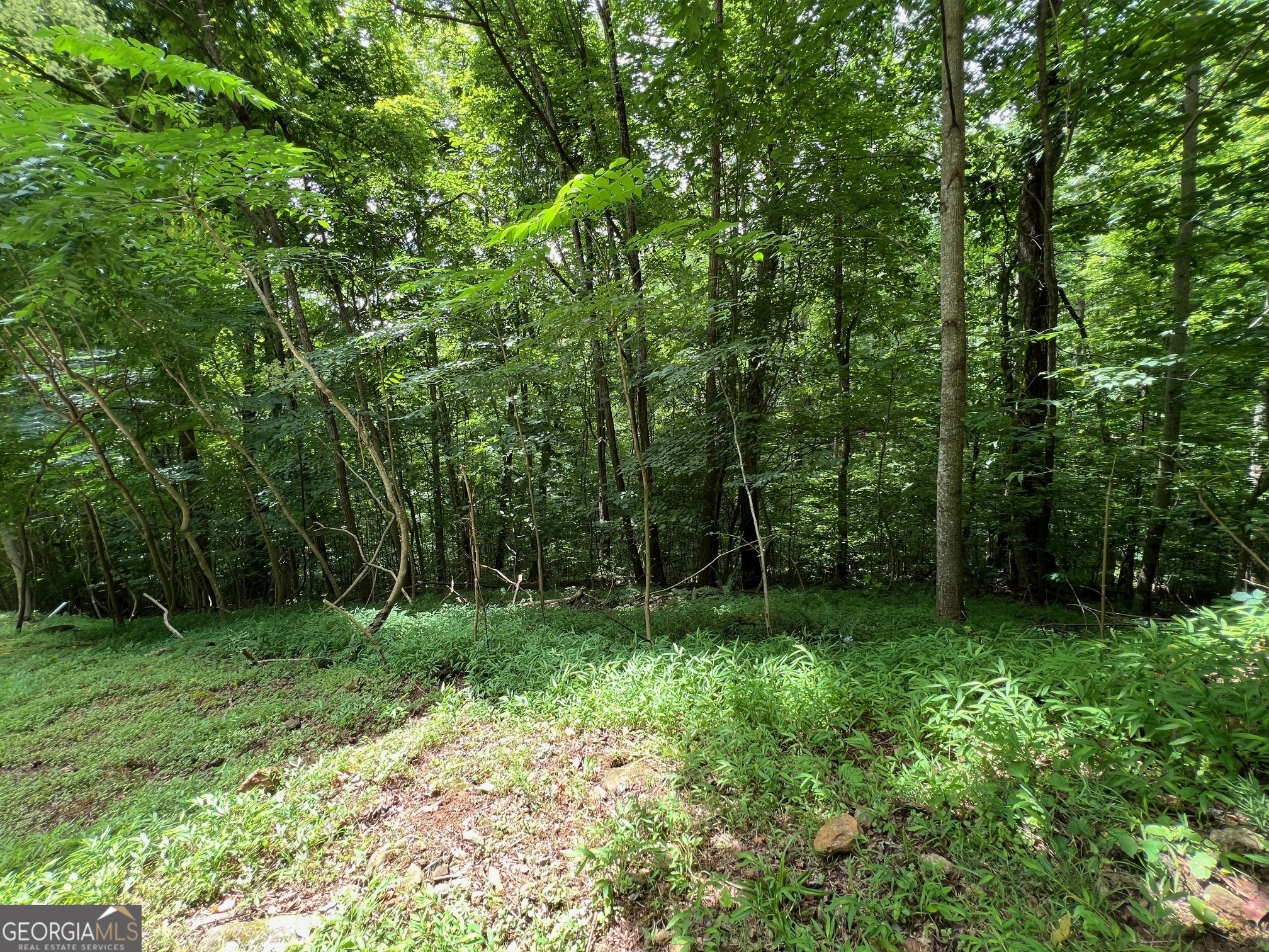 0 Overlook Drive Young Harris GA 30582