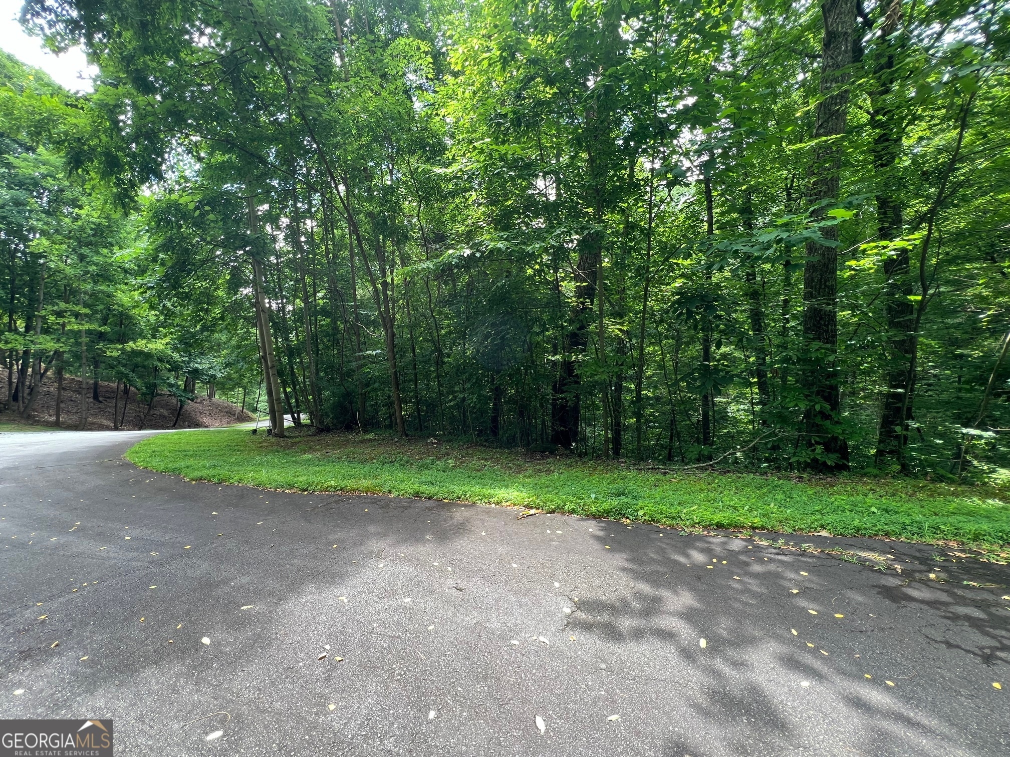 0 Overlook Drive Young Harris GA 30582