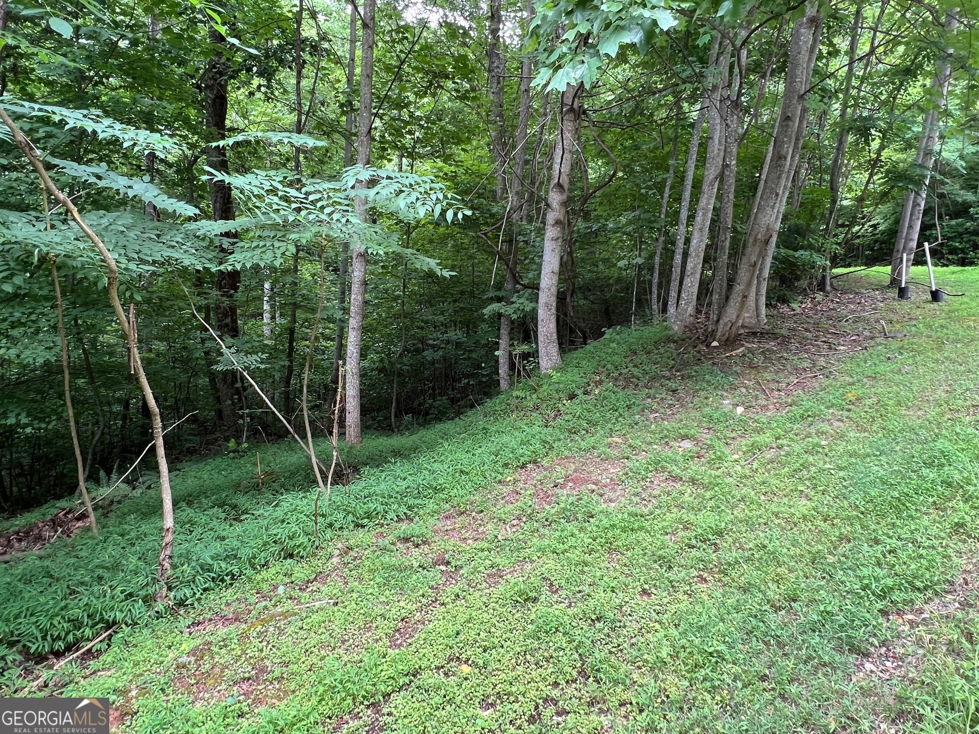 0 Overlook Drive Young Harris GA 30582