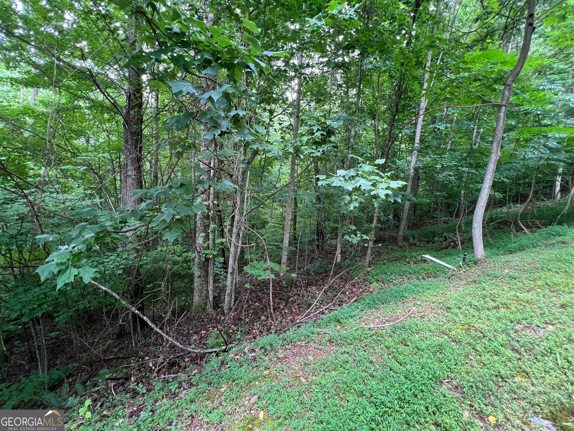 0 Overlook Drive Young Harris GA 30582