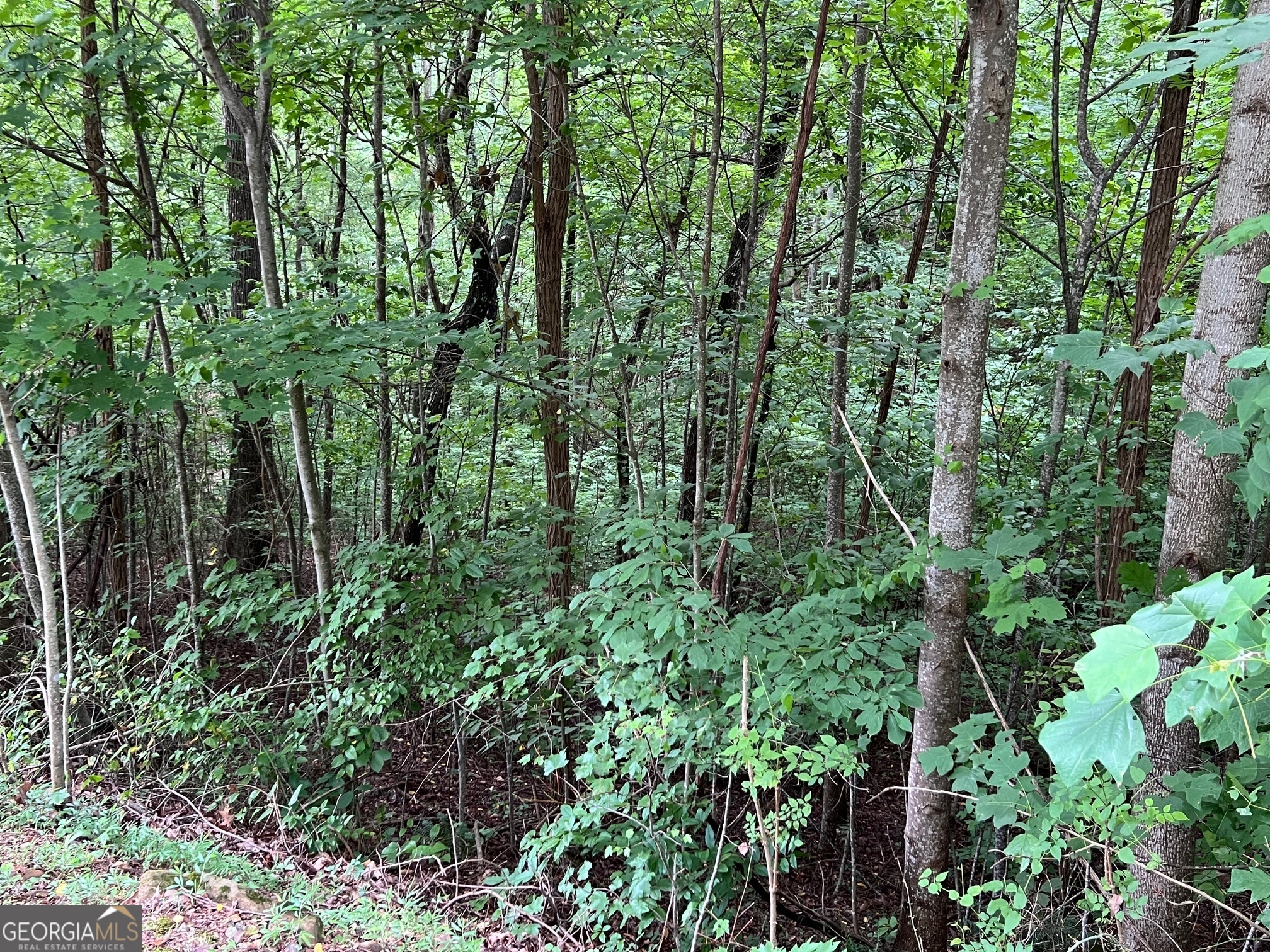 0 Overlook Drive Young Harris GA 30582