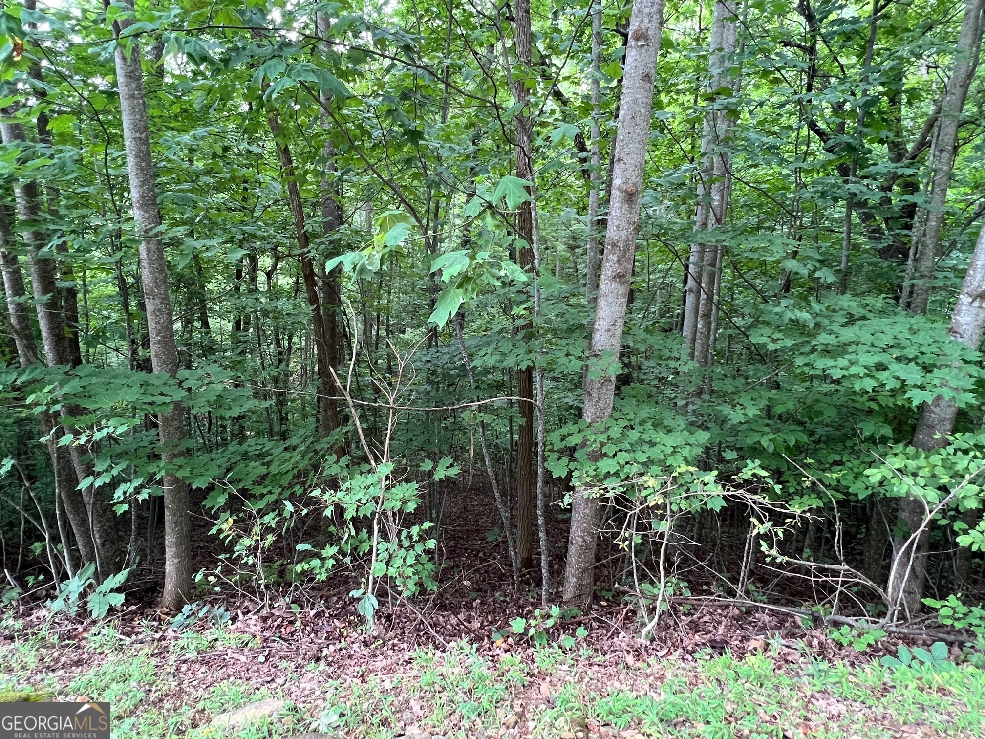 0 Overlook Drive Young Harris GA 30582