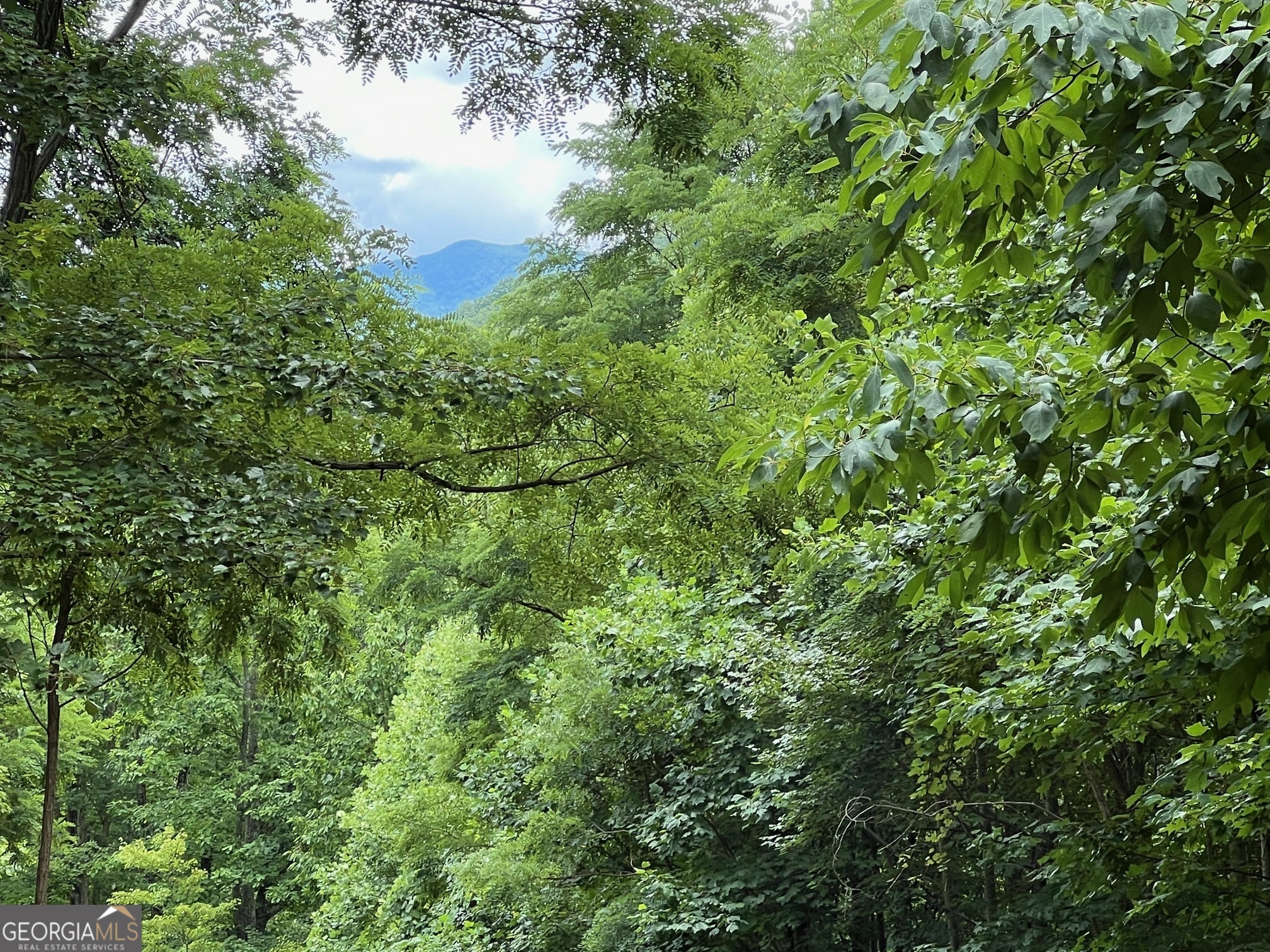 0 Overlook Drive Young Harris GA 30582