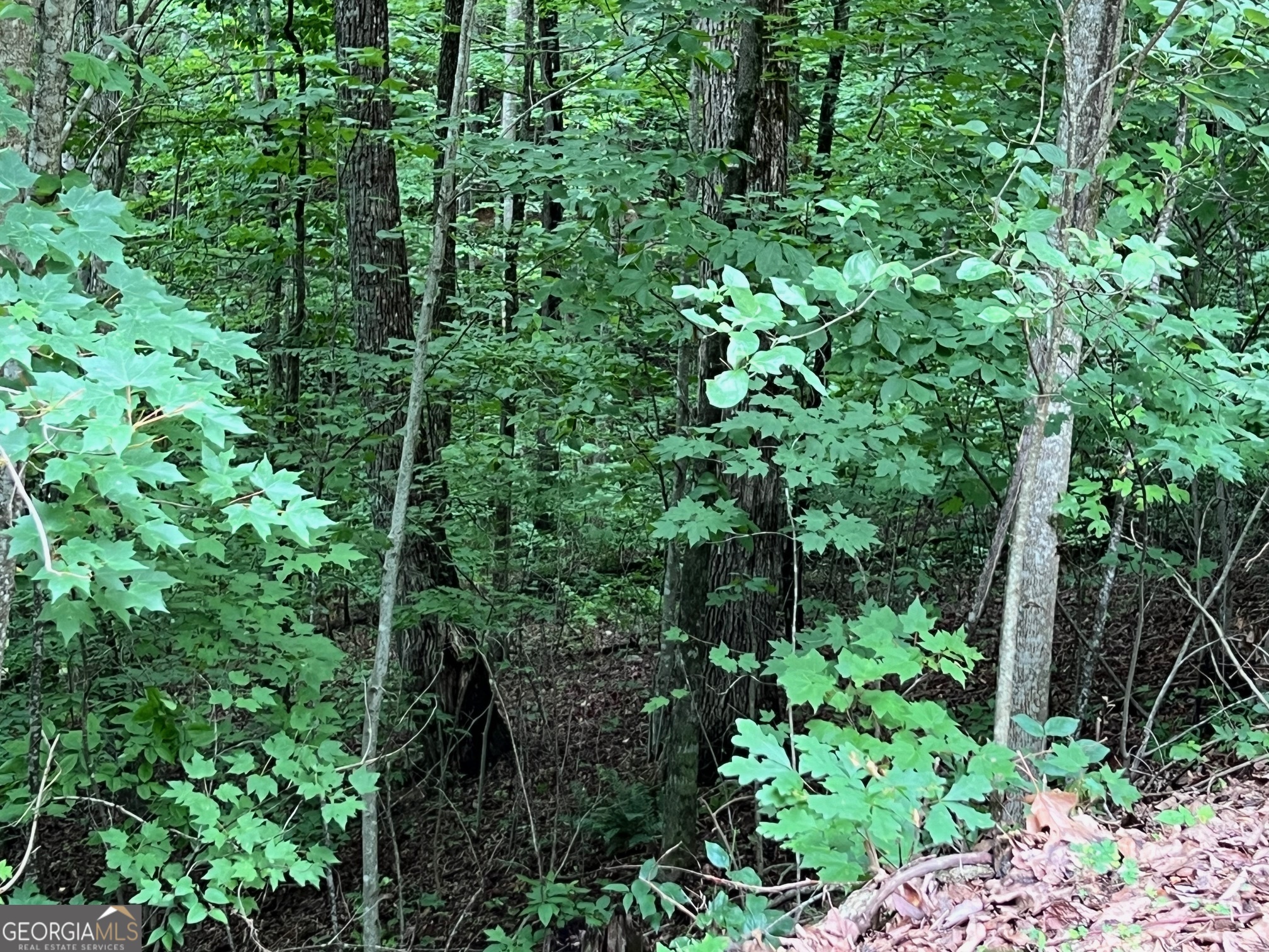 0 Overlook Drive Young Harris GA 30582