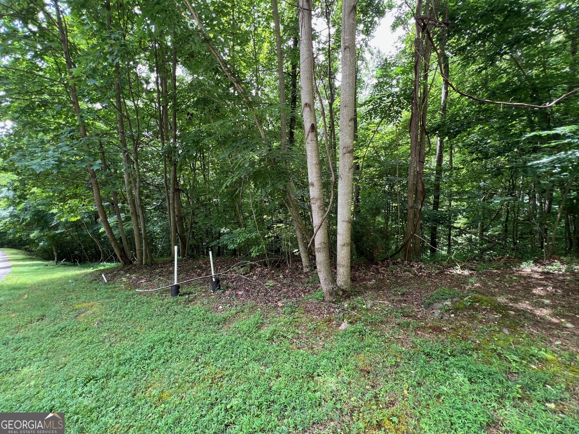 0 Overlook Drive Young Harris GA 30582