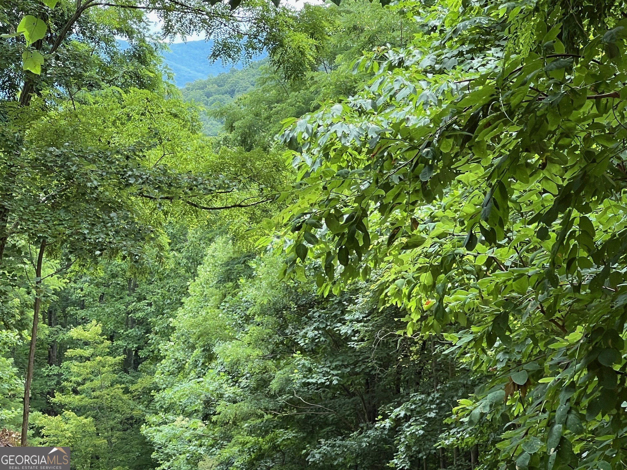 0 Overlook Drive Young Harris GA 30582