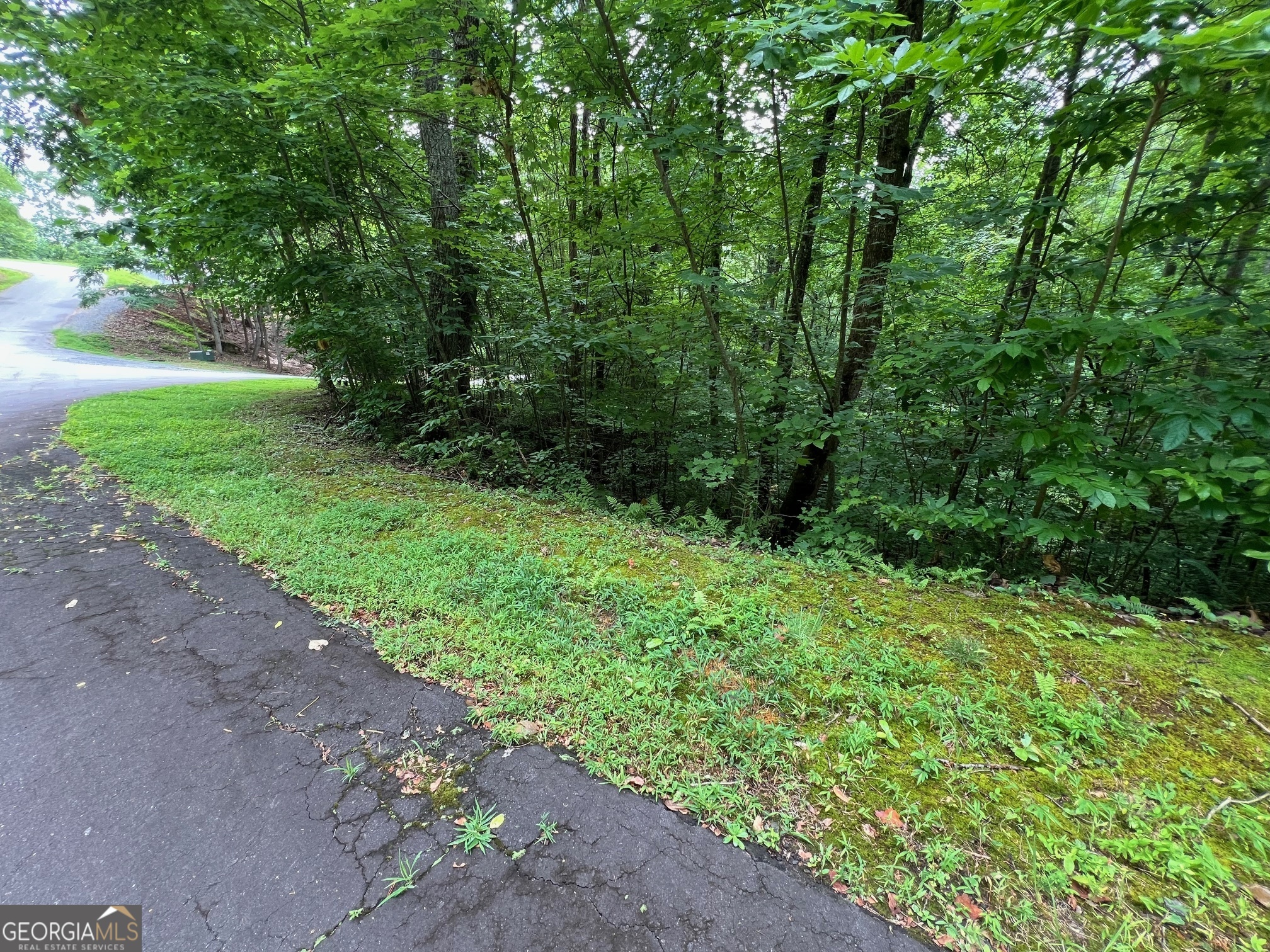 0 Overlook Drive Young Harris GA 30582