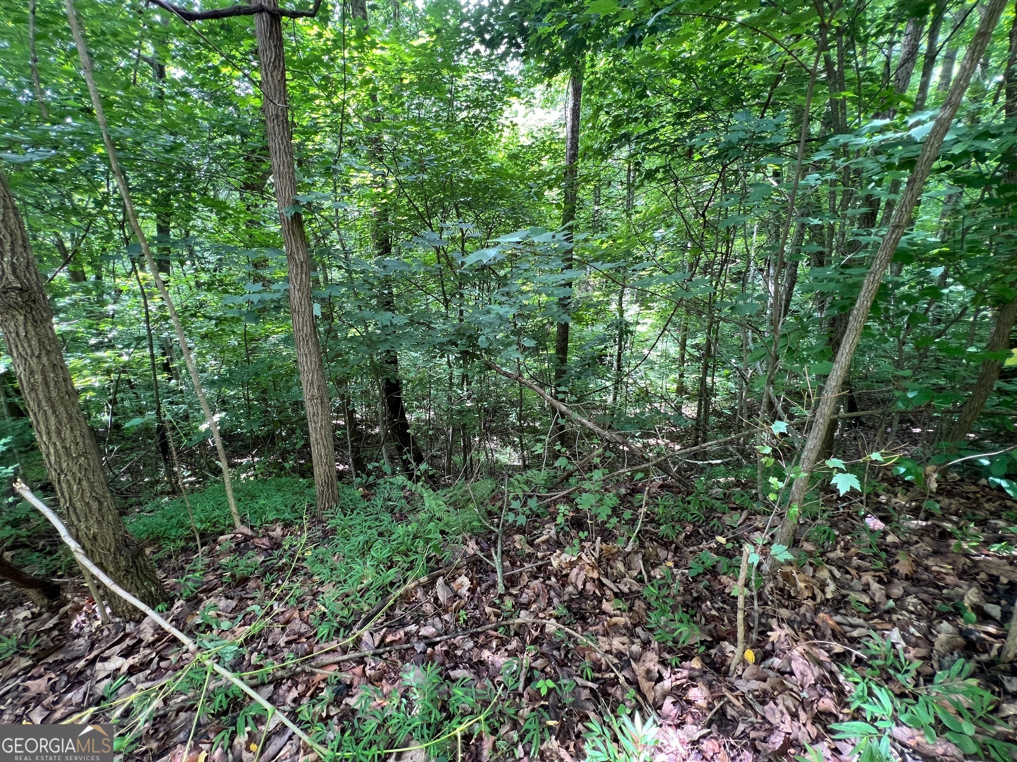 0 Overlook Drive Young Harris GA 30582