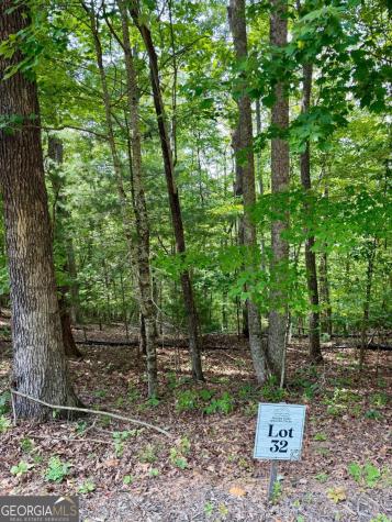 Lot 32 Blue Horizon Drive Blue Ridge GA 30513