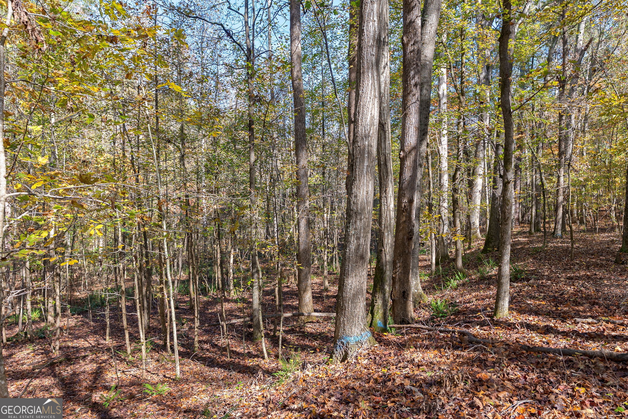 0 Wilson Lane Arnoldsville GA 30619