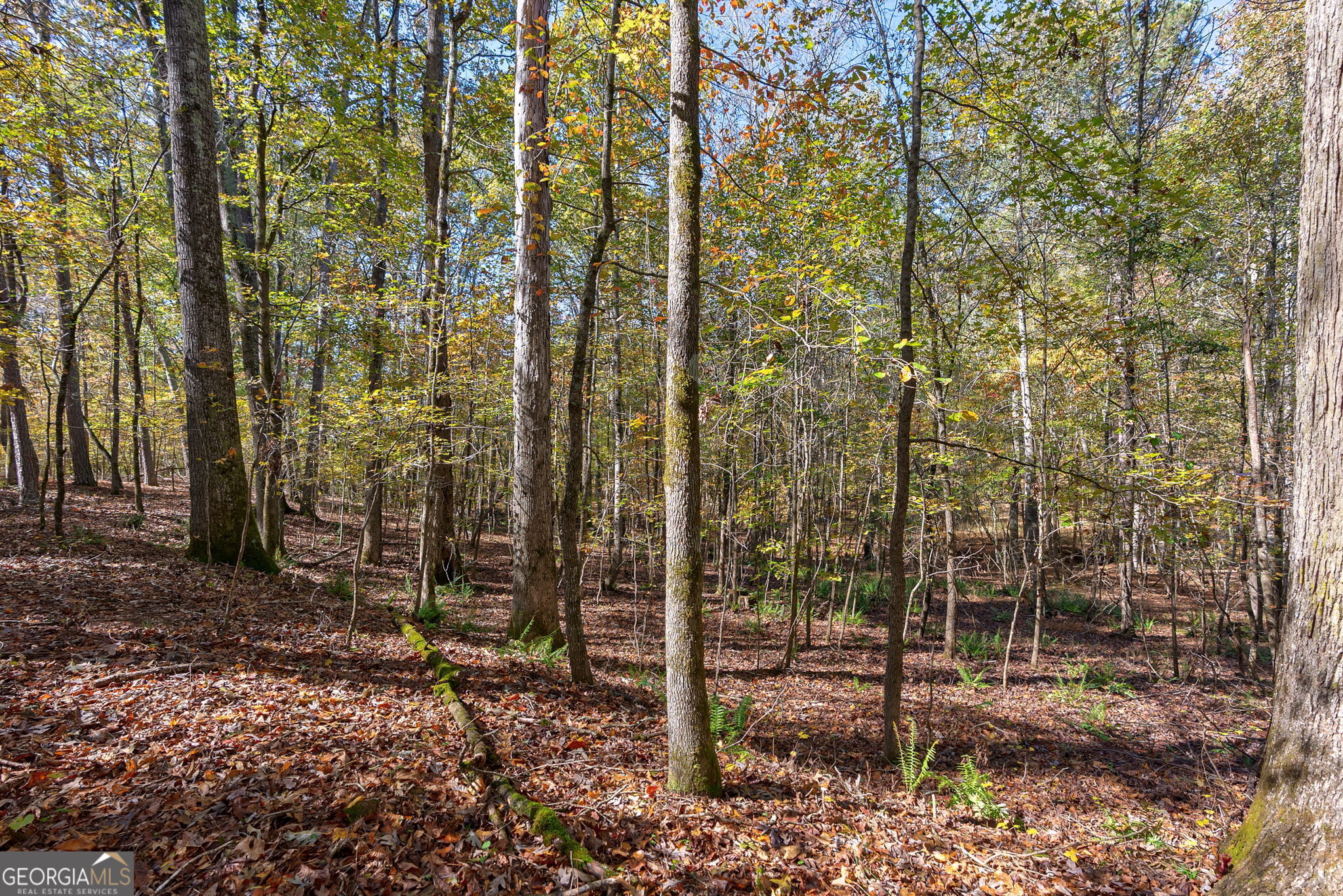 0 Wilson Lane Arnoldsville GA 30619