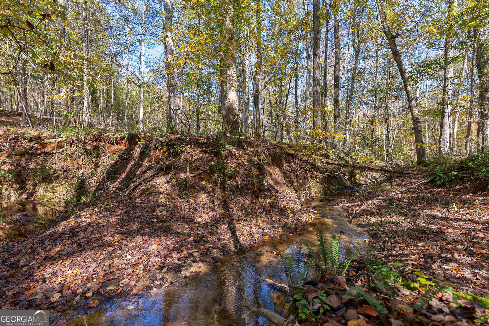 0 Wilson Lane Arnoldsville GA 30619