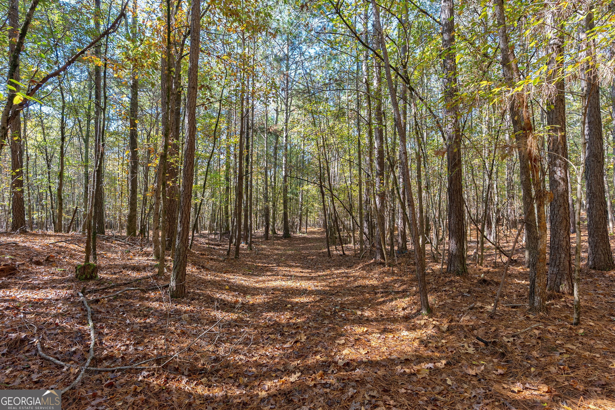 0 Wilson Lane Arnoldsville GA 30619