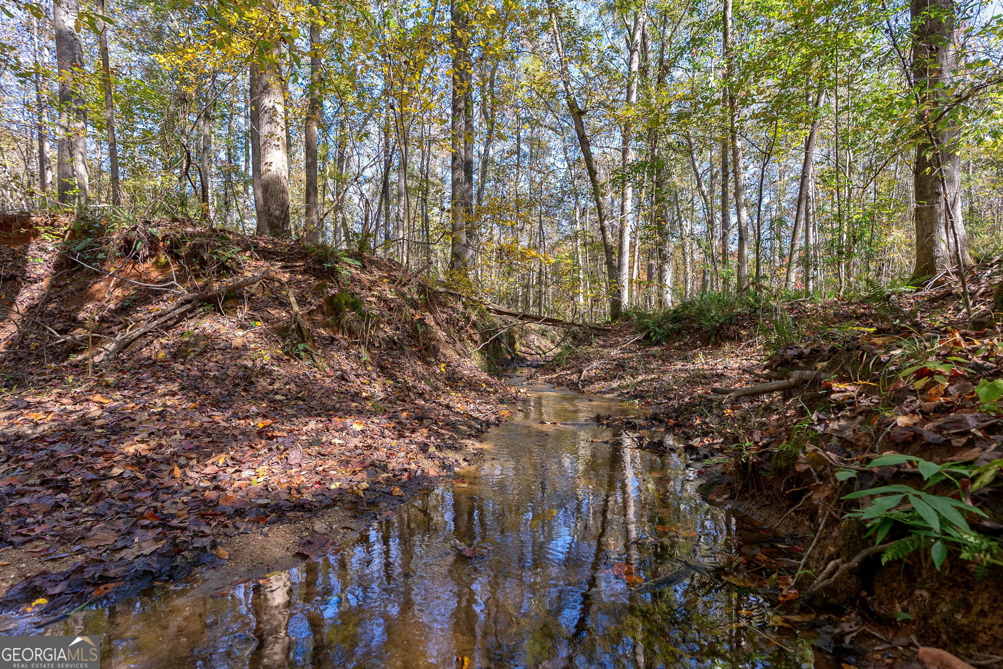 0 Wilson Lane Arnoldsville GA 30619