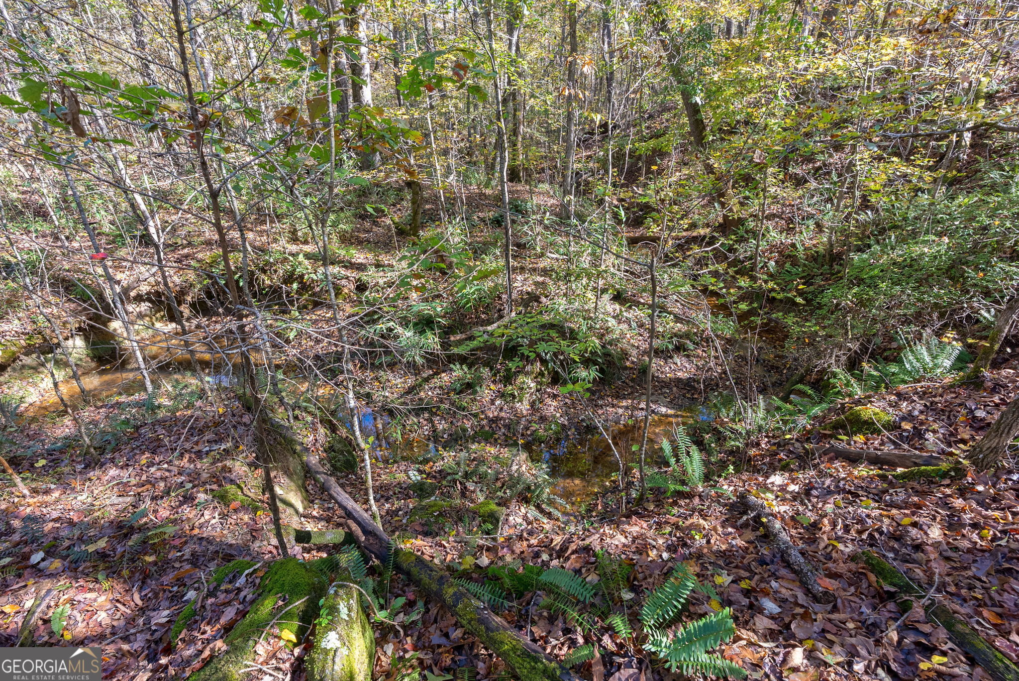 0 Wilson Lane Arnoldsville GA 30619