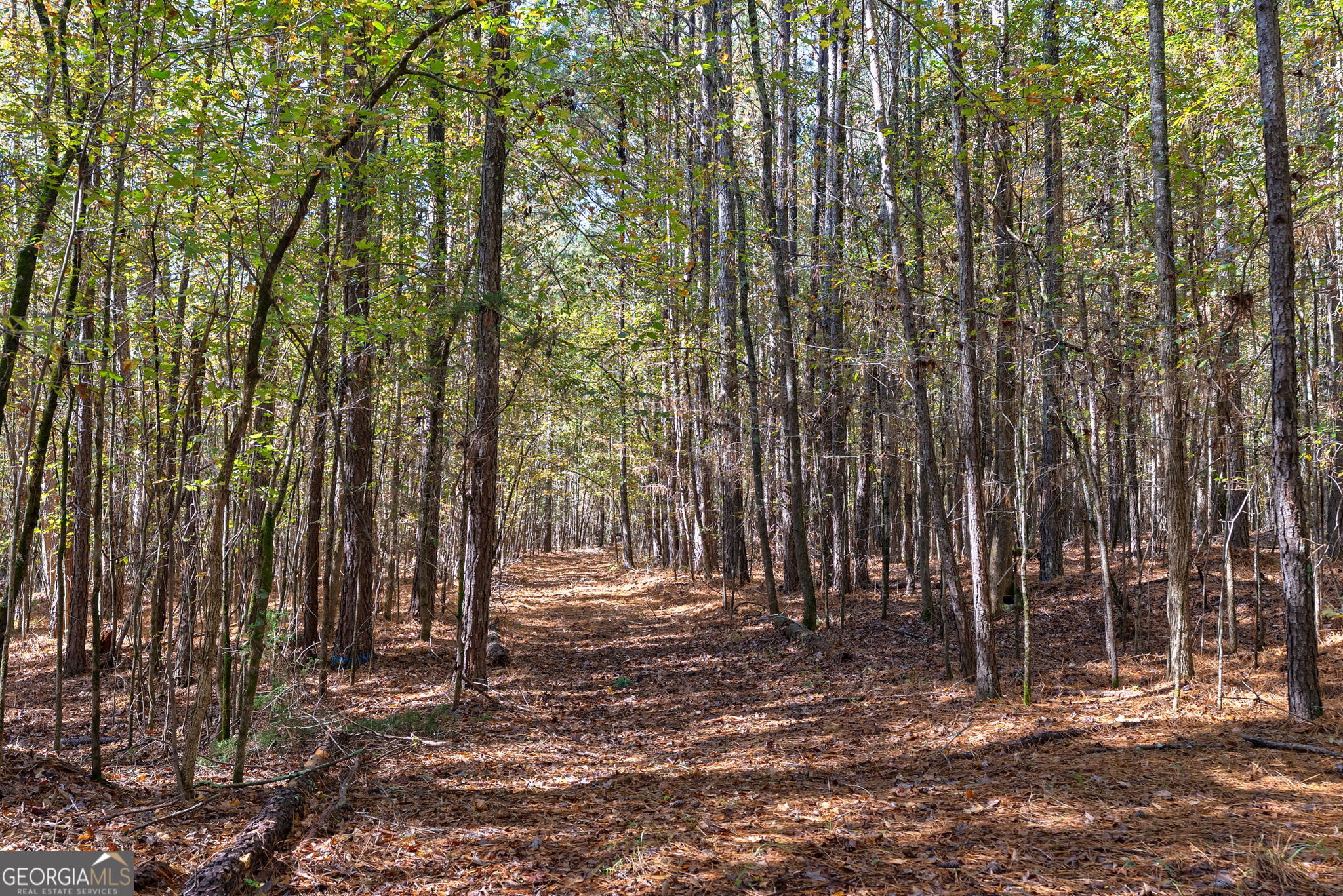 0 Wilson Lane Arnoldsville GA 30619