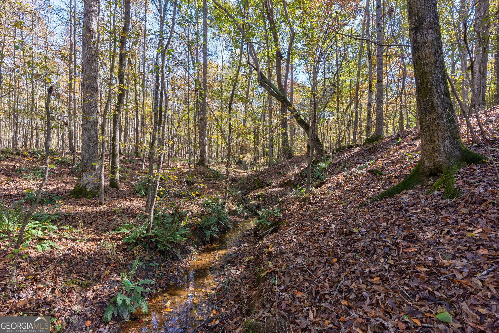0 Wilson Lane Arnoldsville GA 30619