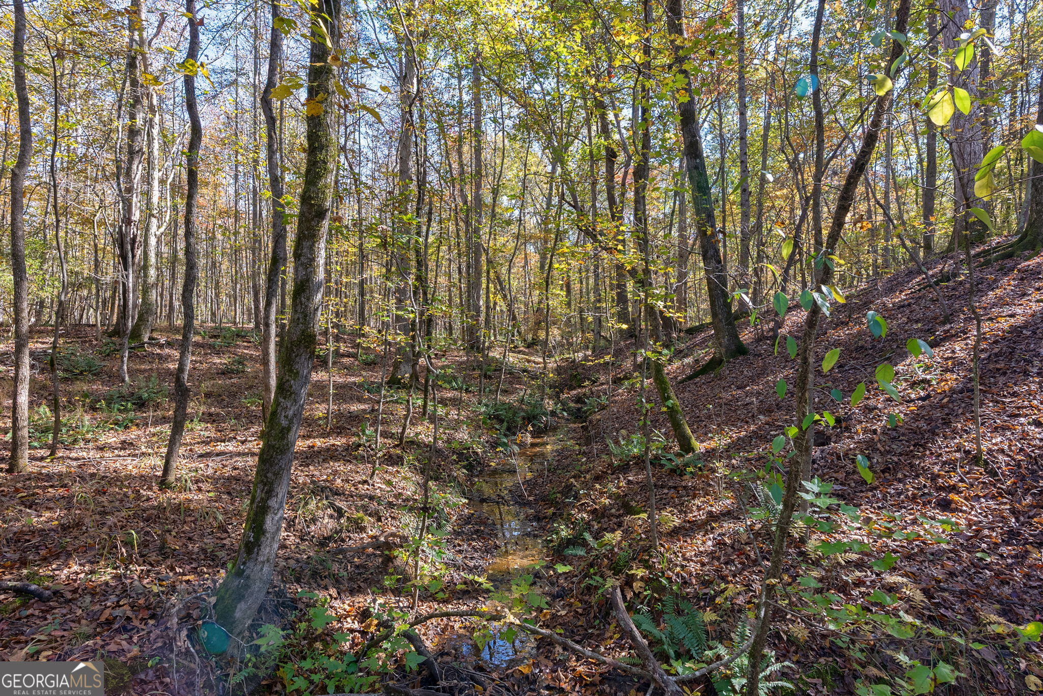 0 Wilson Lane Arnoldsville GA 30619