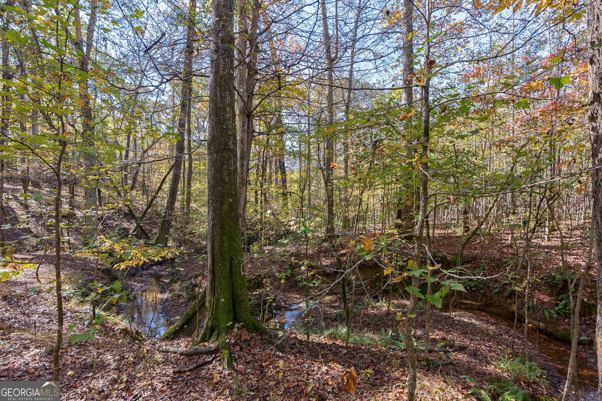 0 Wilson Lane Arnoldsville GA 30619