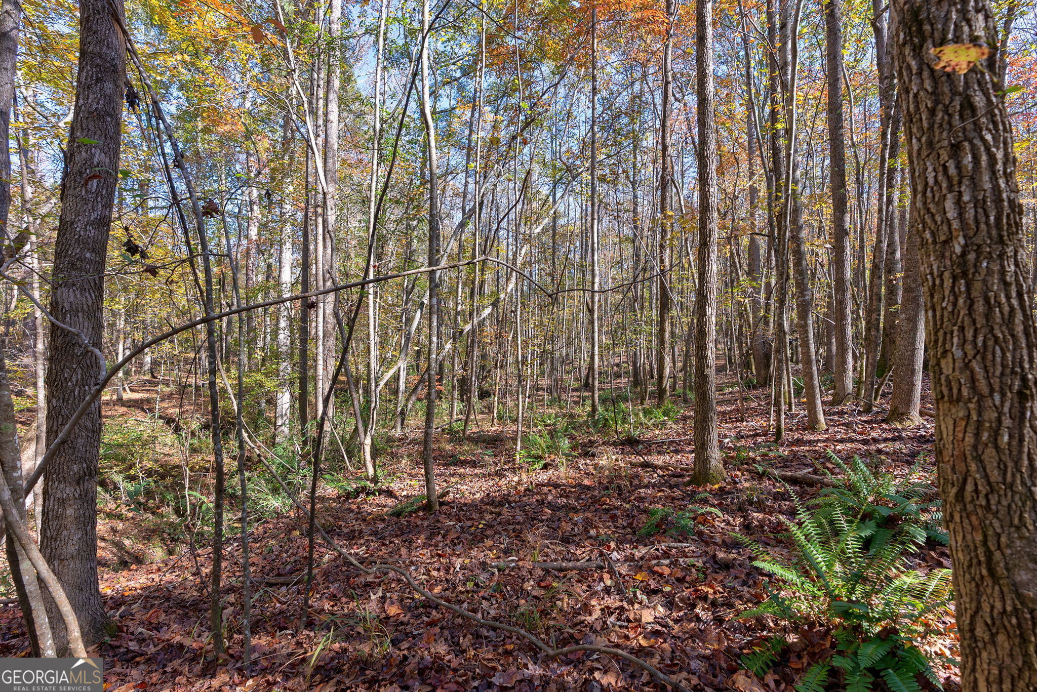 0 Wilson Lane Arnoldsville GA 30619