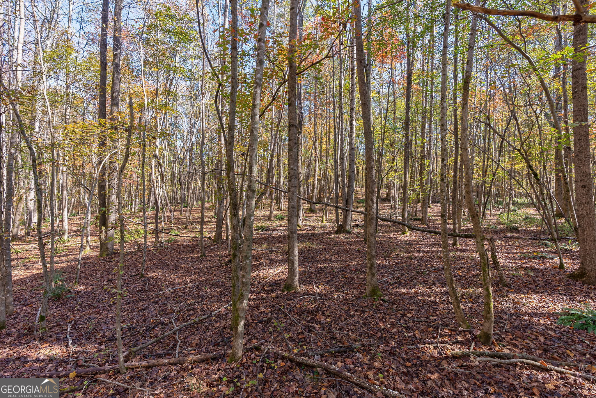 0 Wilson Lane Arnoldsville GA 30619