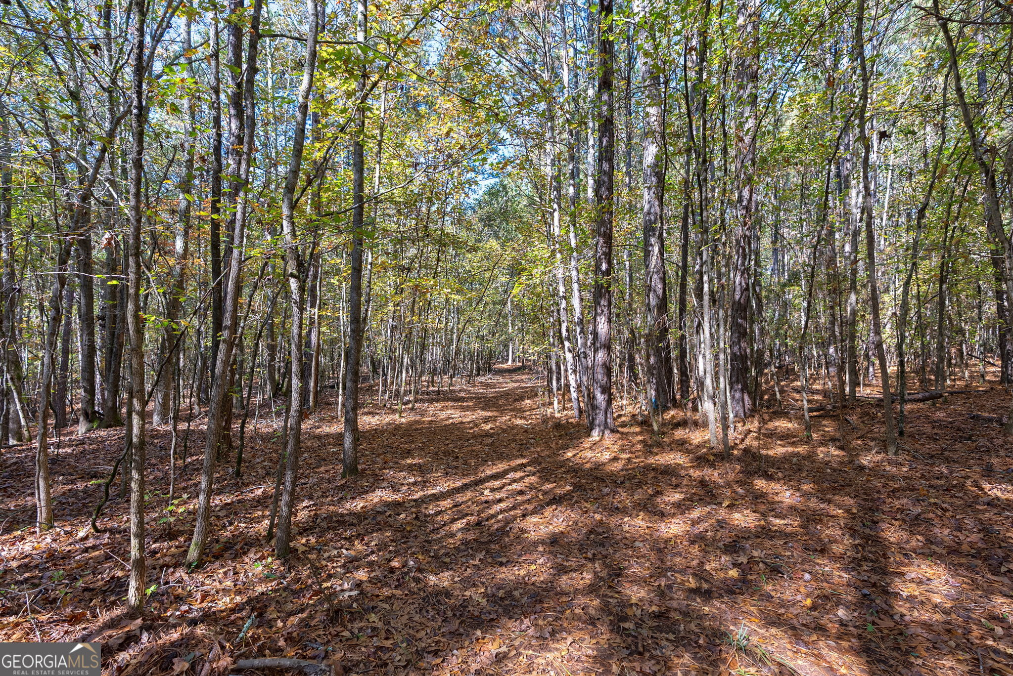 0 Wilson Lane Arnoldsville GA 30619