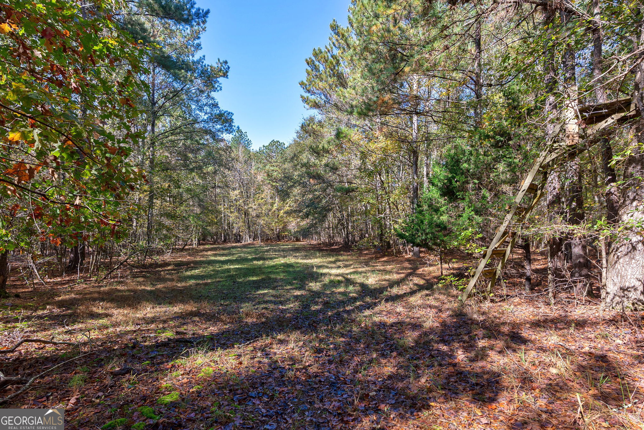 0 Wilson Lane Arnoldsville GA 30619