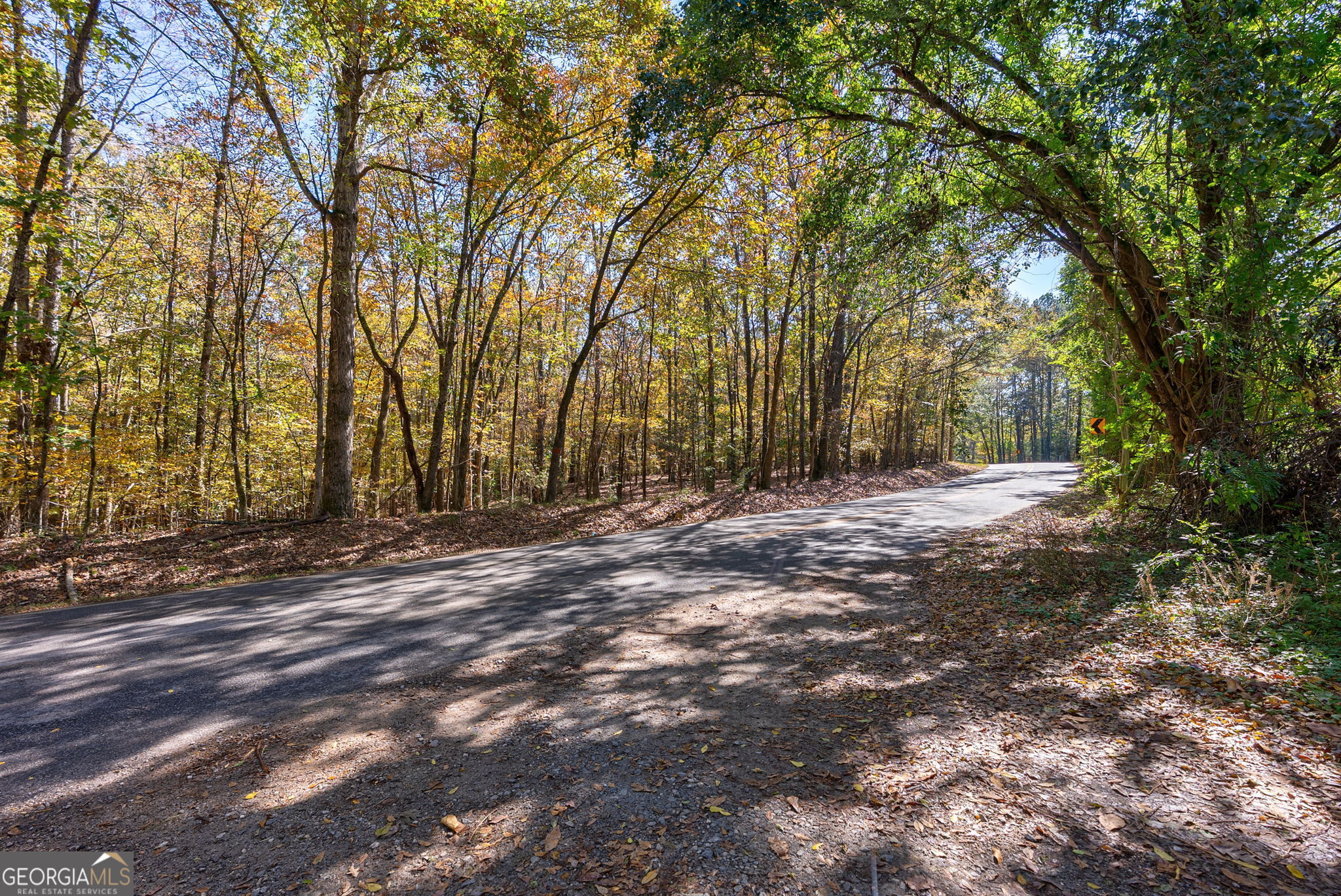 0 Wilson Lane Arnoldsville GA 30619