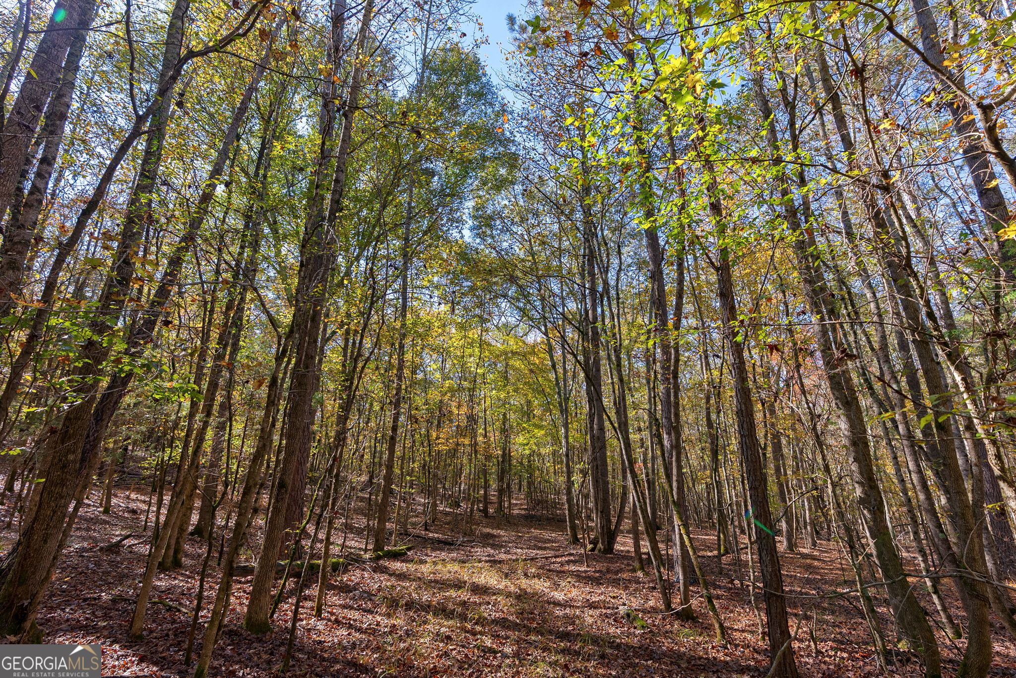 0 Wilson Lane Arnoldsville GA 30619