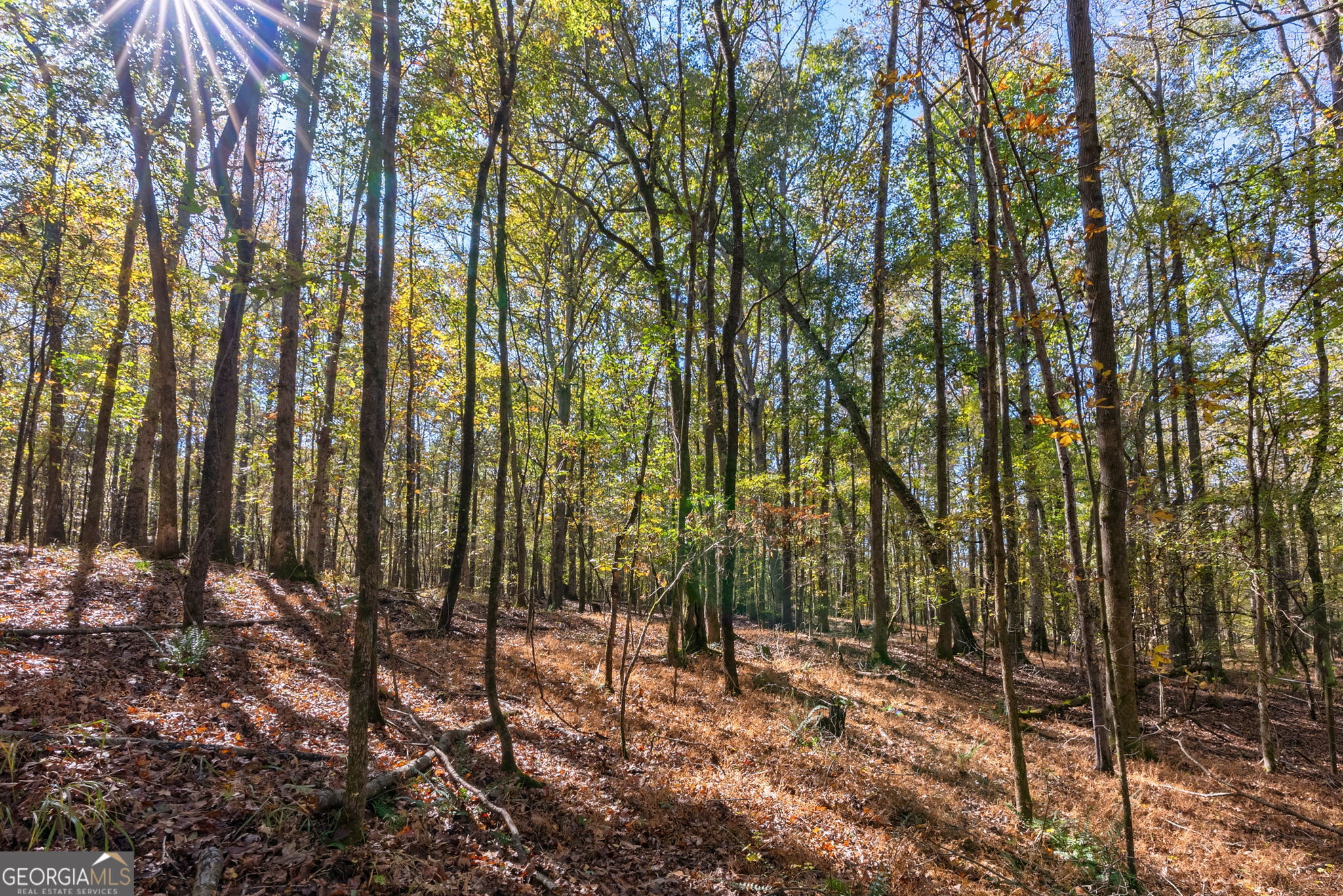 0 Wilson Lane Arnoldsville GA 30619