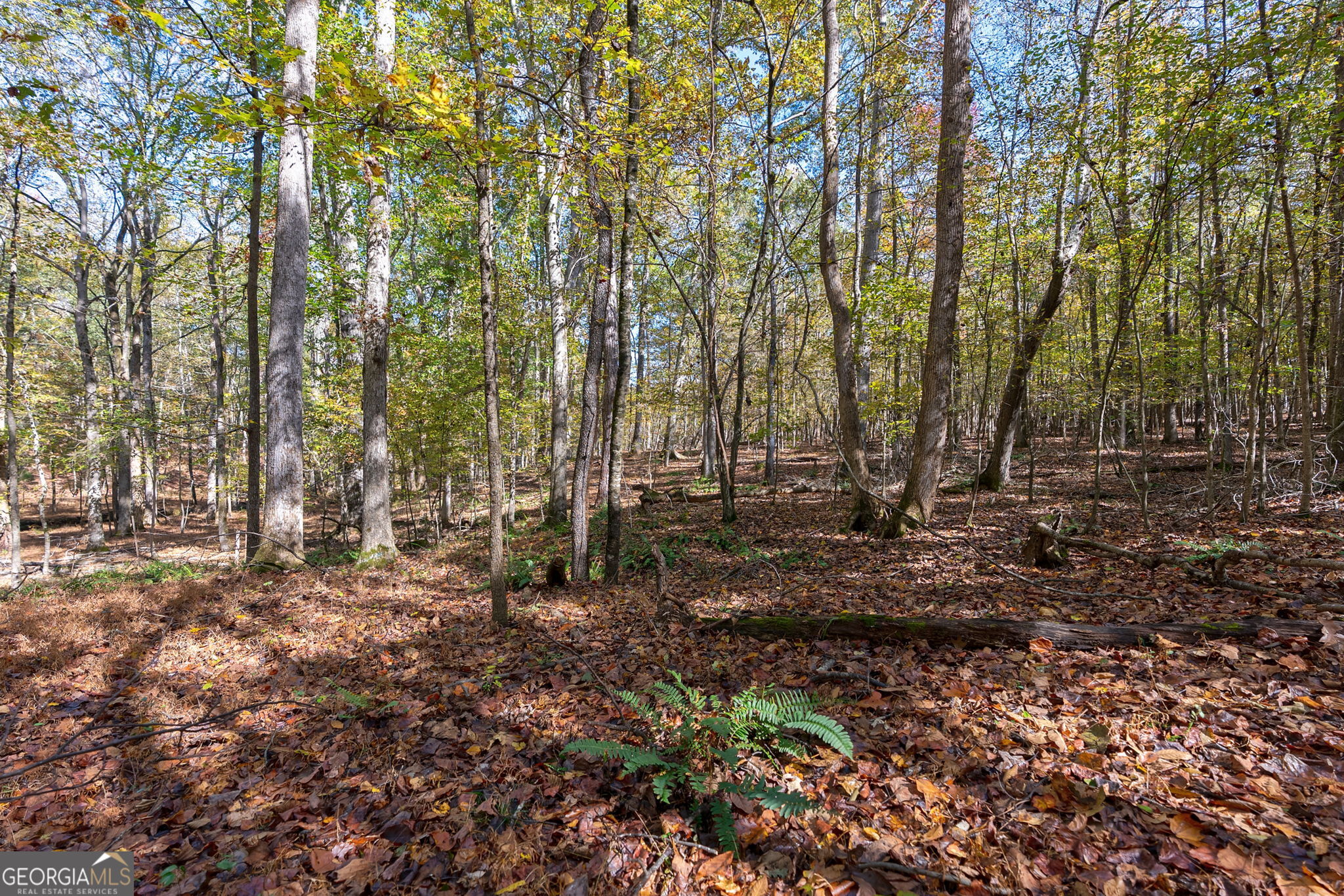 0 Wilson Lane Arnoldsville GA 30619