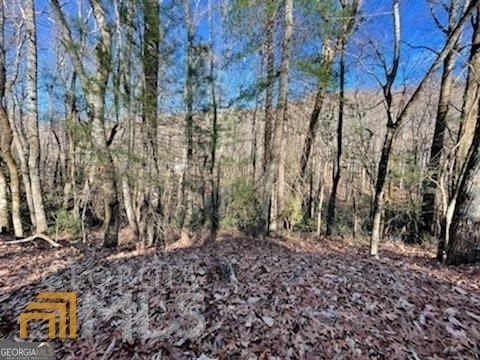 0 Rebel Circle Sky Valley GA 30537