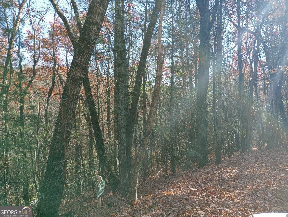 0 Rebel Circle Sky Valley GA 30537