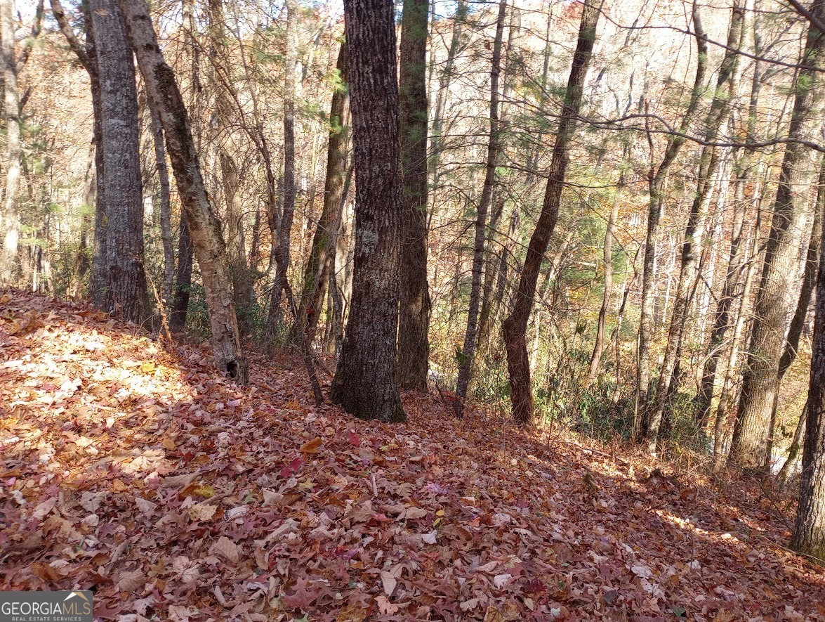 0 Rebel Circle Sky Valley GA 30537