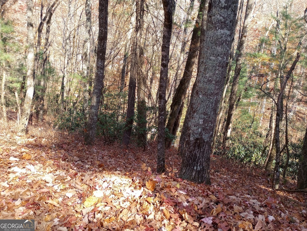 0 Rebel Circle Sky Valley GA 30537