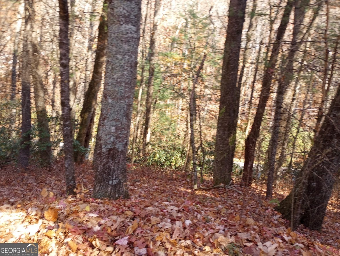 0 Rebel Circle Sky Valley GA 30537