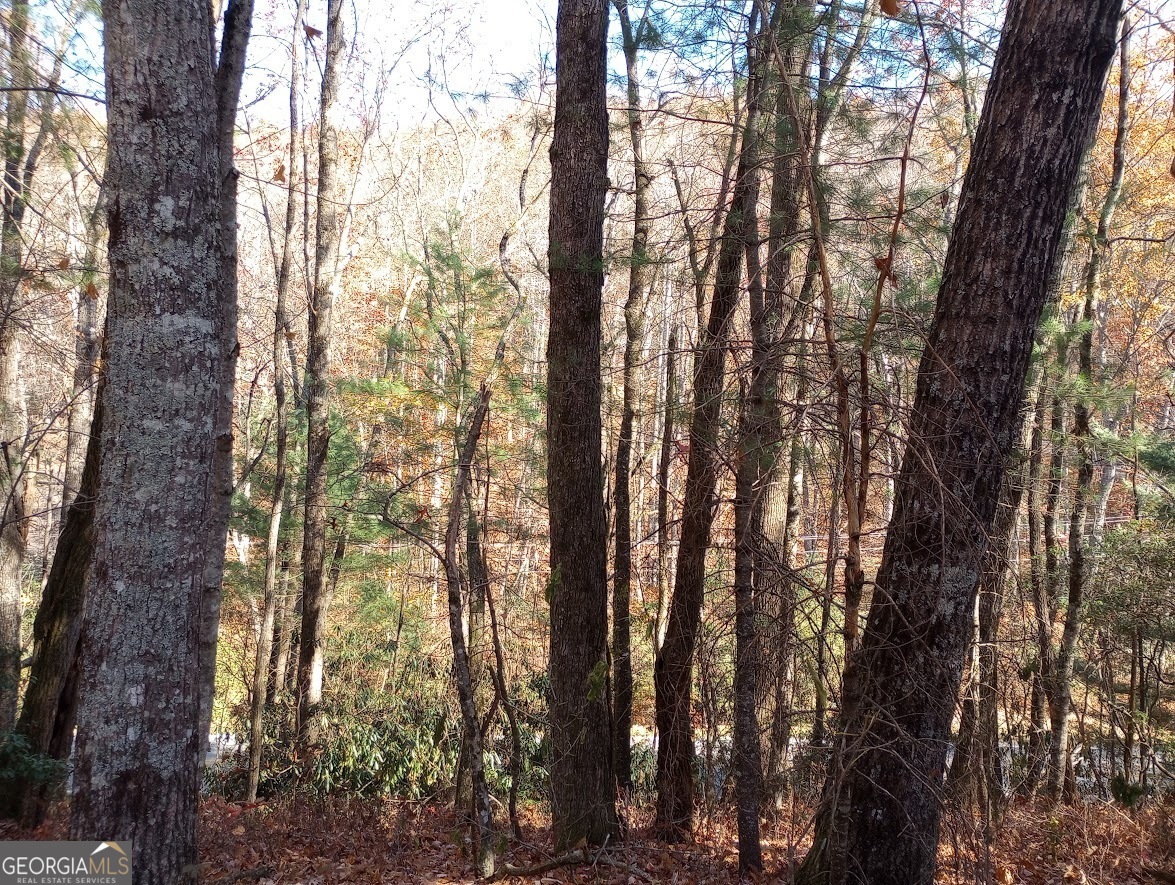 0 Rebel Circle Sky Valley GA 30537