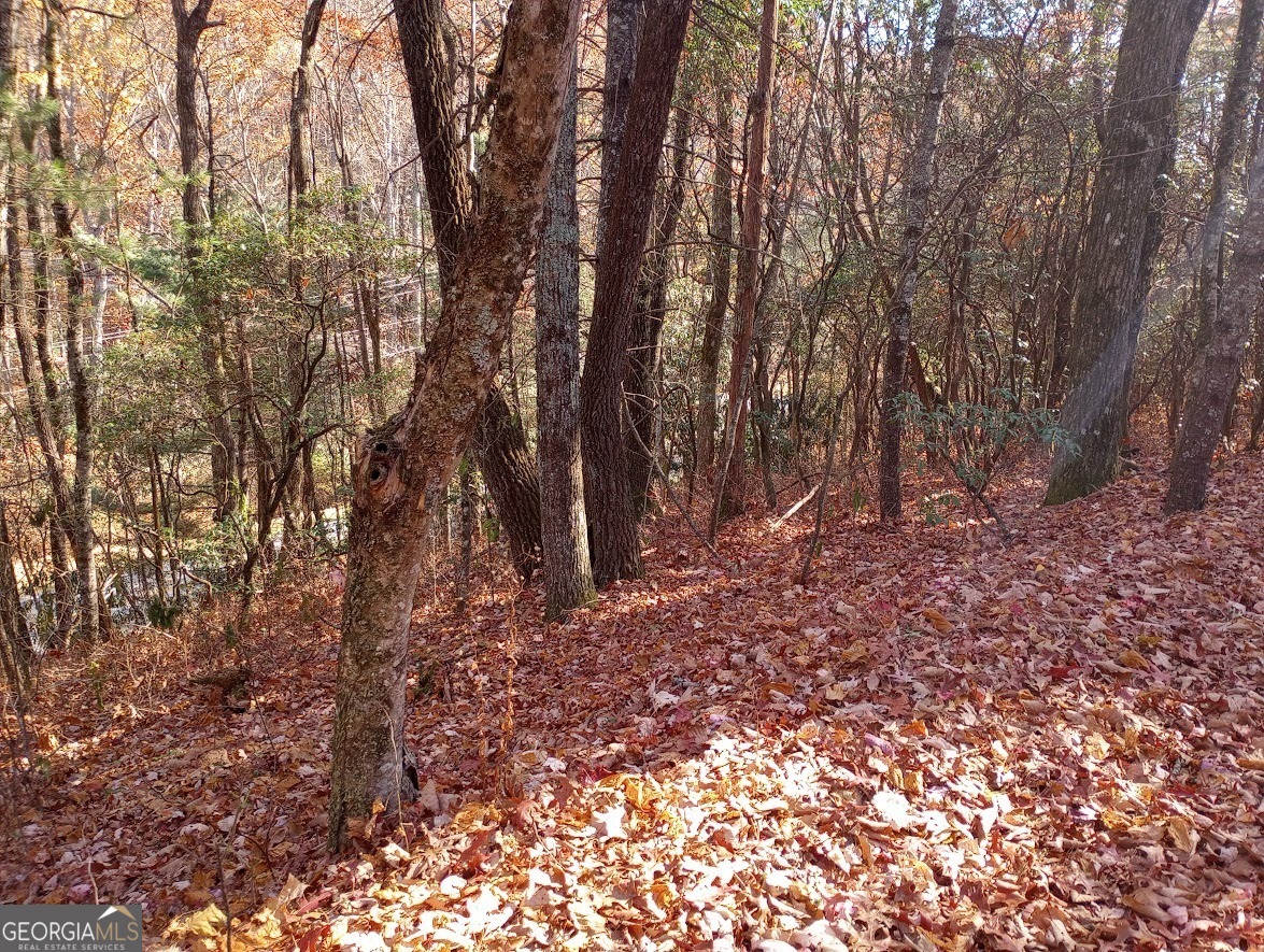 0 Rebel Circle Sky Valley GA 30537