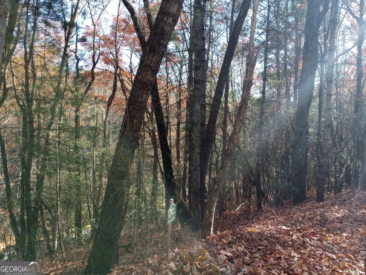 0 Rebel Circle Sky Valley GA 30537