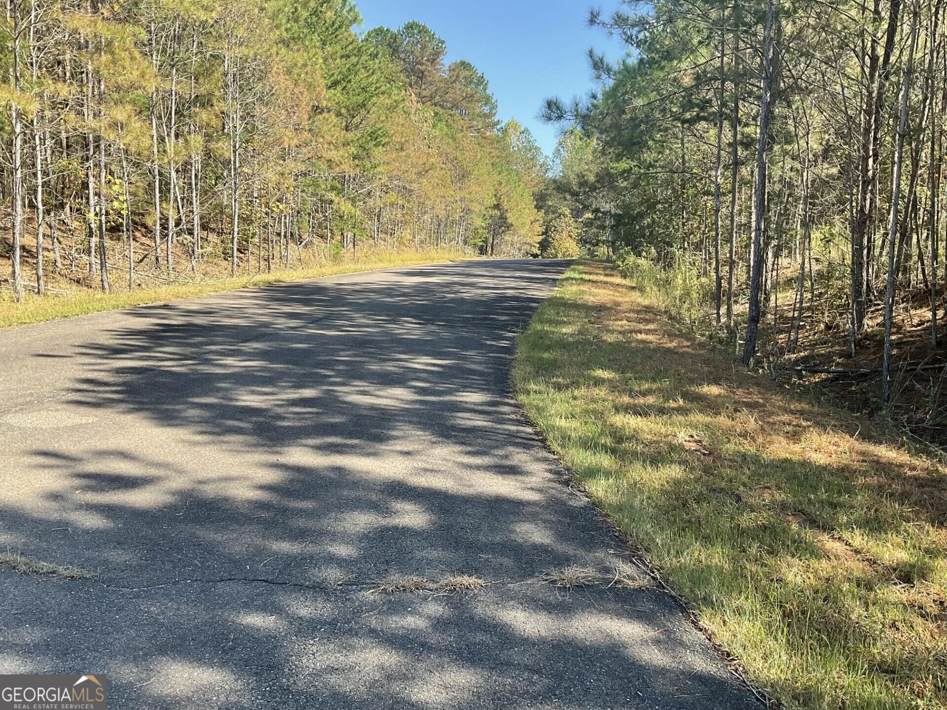 0 Eastview Trail Ellijay GA 30536