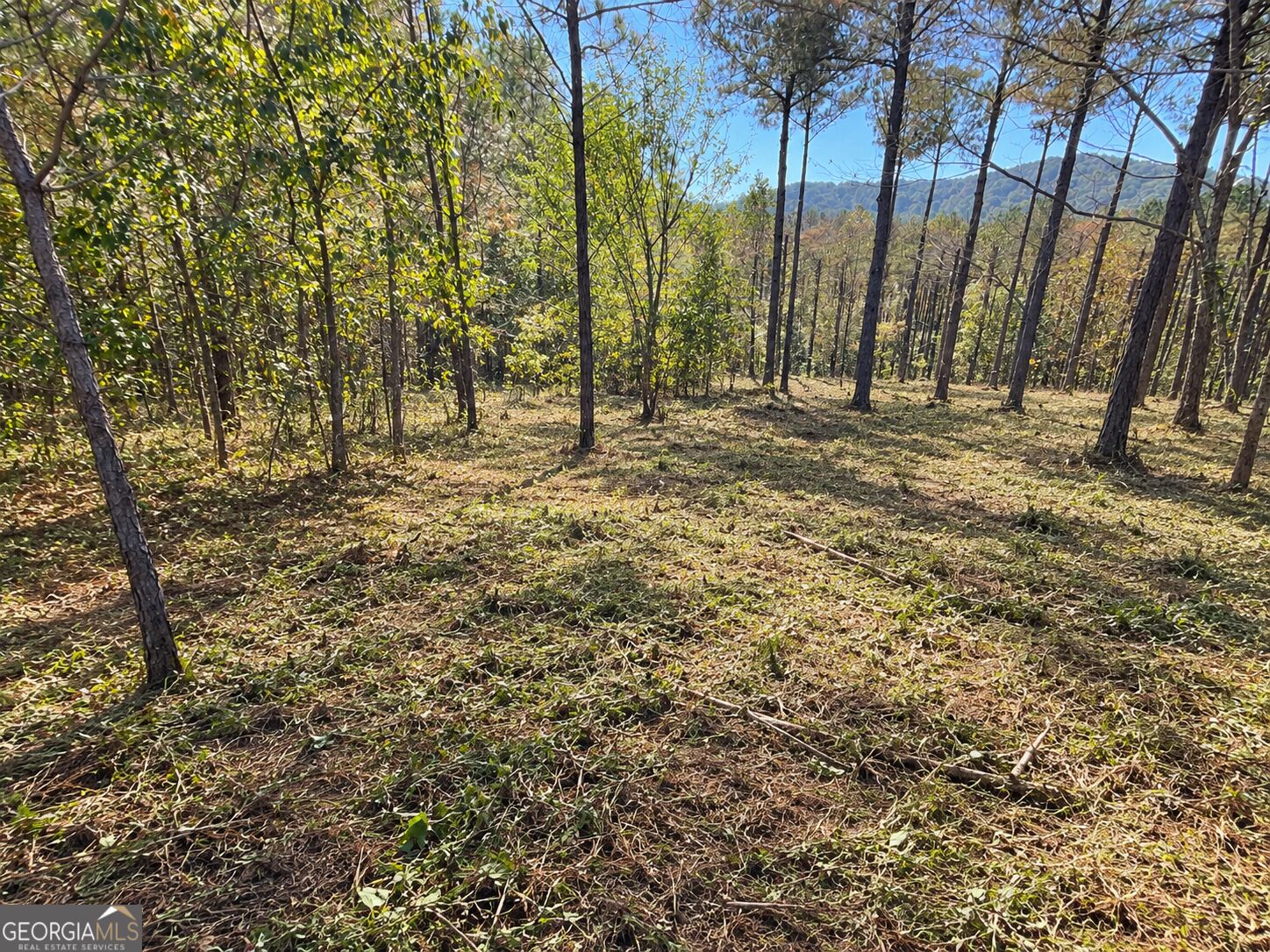 0 Eastview Trail Ellijay GA 30536